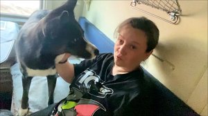 Трейлер: Влог из поезда Адлер-Москва ..едем с собакой домой 🐶😊🚂!