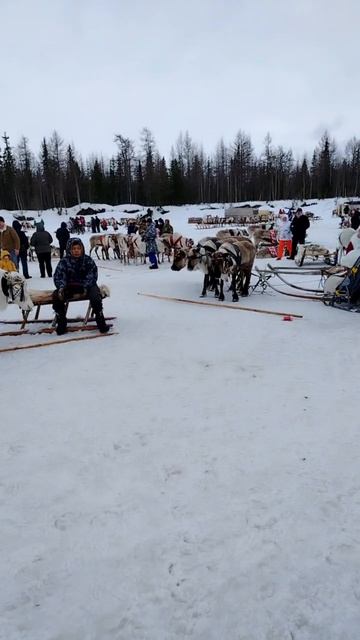 VID_20260420_202730_288.mp4