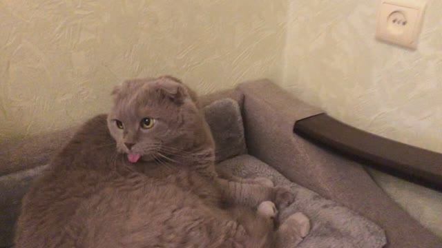 Огород . Весенние работы часть4 (08.04.26)