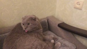 Огород . Весенние работы часть4 (08.04.26)