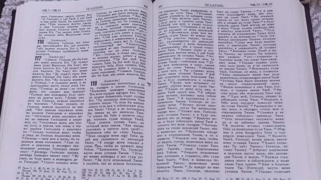 # День 168#  Пища для моего духа #  Псалтырь  гл. 118  (15-42) #ПС V1.0 #