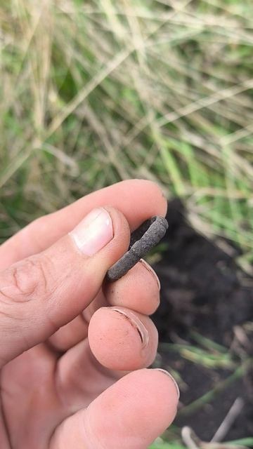 Непонятное колечко