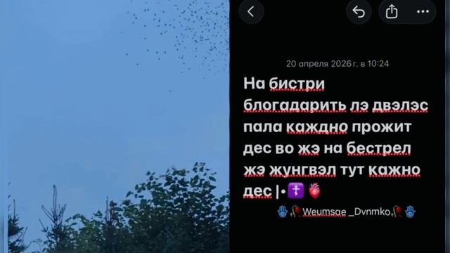 Душевная _мелодия 👤|•🫀🖇️чикай описание 🕊️🥀