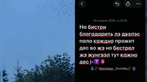 Душевная _мелодия 👤|•🫀🖇️чикай описание 🕊️🥀