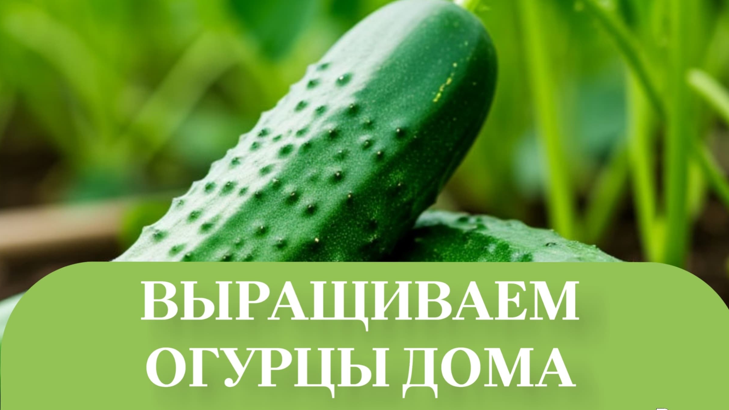 ЁМКОСТЬ 7л БЛАГОПРИЯТНЫЙ ДЛЯ ОГУРЦОВ.