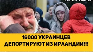 16000 украинцев депортируют из Ирландии!!!