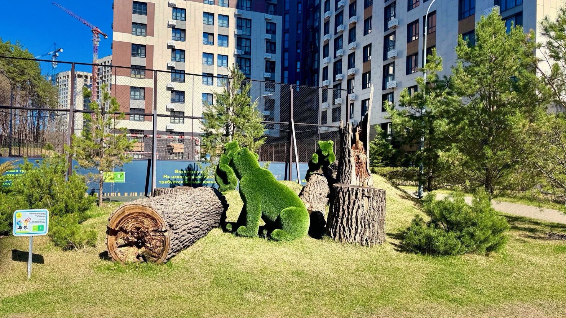 КВАРТИРА, ГДЕ ВЫ ПРОСЫПАЕТЕСЬ НА УРОВНЕ СОСЕН!🌲