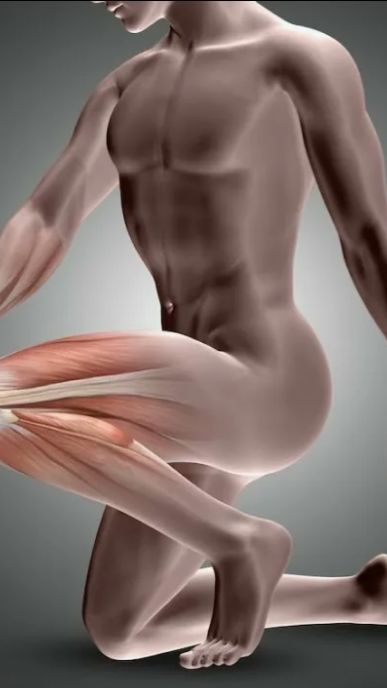 Суставная гимнастика по Норбекову за минуту