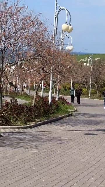 ПАРК им. А.АХМАТОВОЙ | #севастополь