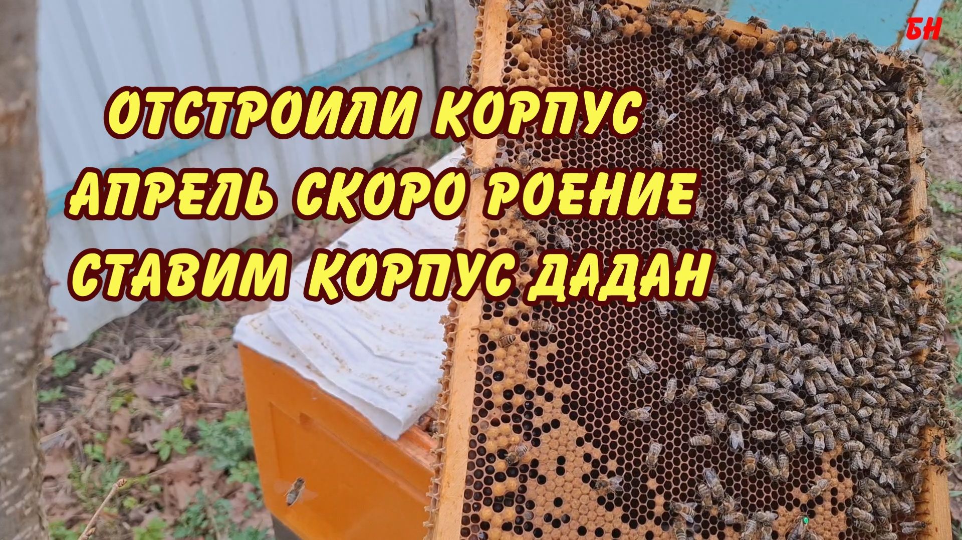 пчеловодство отстроили корпус, апрель,  скоро роение, ставим дадан