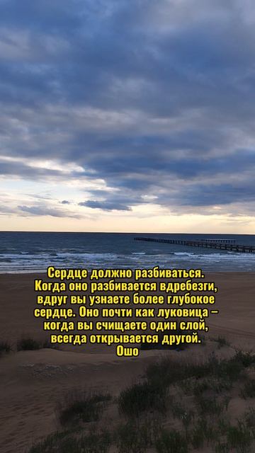 сердце это лук 🧅 оно болит от его горечи #сердце #лук #душа #shorts #life