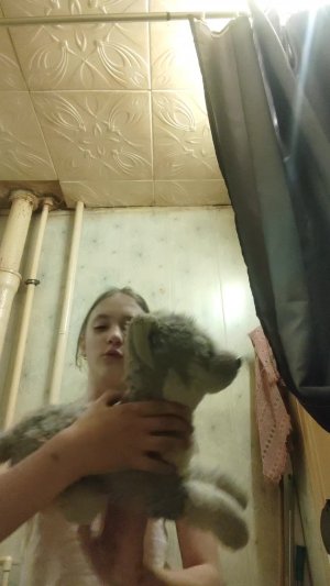 моем честра