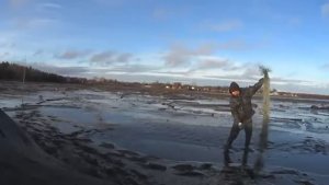 РЫБНАЯ ТРОПА ЗАРАБОТАЛА! СИГ ПОШЁЛ!!! ПРЯМО ПОД  СКАЛОЙ! ХОЖУ В САПОГАХ ВЫПУТЫВАЮ!