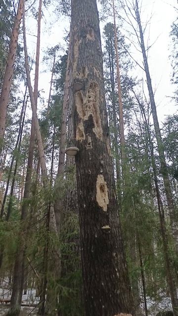 20-04-2026коротко