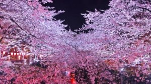 Selerkna СНИПЕТ УЖАС БАБАЙКА