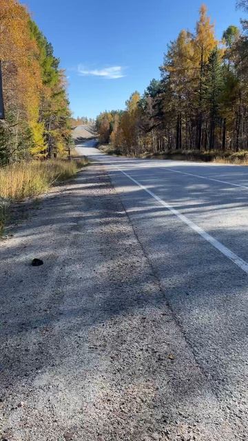 Cst Zero Honda Accord 6