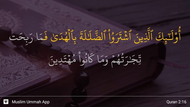 сура Аль-Бакара 16 аят