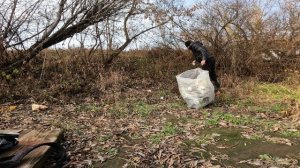 СБОР МУСОРА