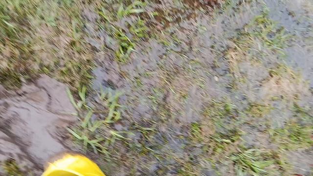 Прогулка 2часть💝