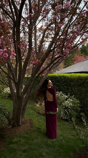 Сакура расцвела