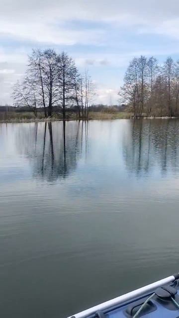 река Воронеж 18 04 2026 года