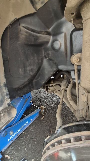 брызговики Omoda C5