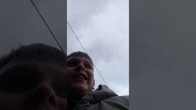 обзор на живность дачи