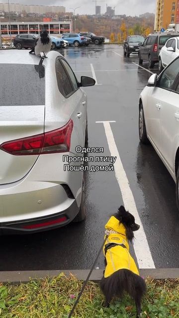 Каждый день начинается так...