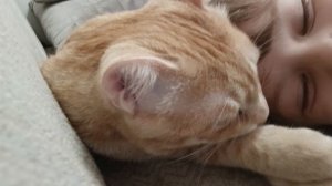 рыжик лижет мне лоб🤣🤣🤣