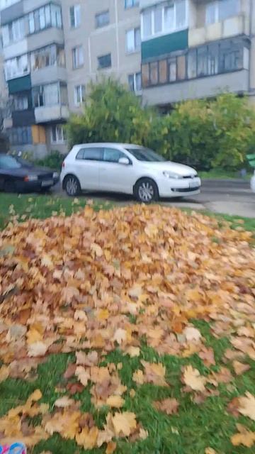 D3a6b782-57c0-44df-ae14-1e60b19778d6-1_all_841.mp4