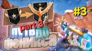 Путь до феникса | 3 часть | апнул голд | стандофф2