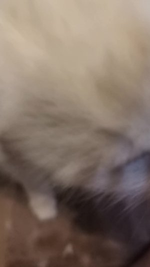 Ночной влог