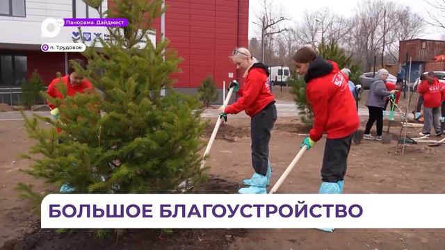 В посёлке Трудовое во время субботника масштабно подошли к озеленению