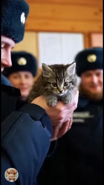 Котёнок Руслан