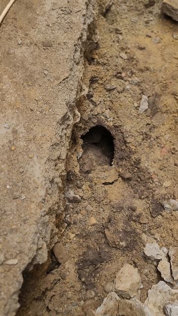 грунт насыщен водой с улицы,  фундамент просел