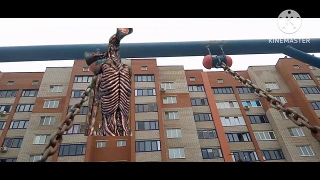 индийский сиреноголовый над домом.