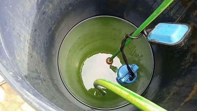 ITOZOR-SERVIS Ролик-8 Поселок Логи промывка СО-гостевого дома