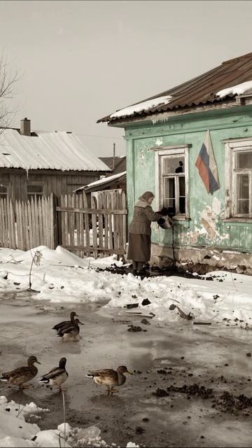 Сказочная зима в деревне #зима #деревня #природа