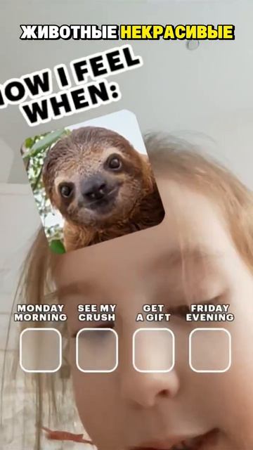 Настя и рулетка животных в Snapchat всё не туда попало! 🐾😂