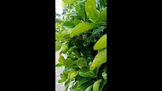 Подъём пять утра  день 7