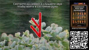 Славянская руна Есть (Жива) (Смысл и Энергия)