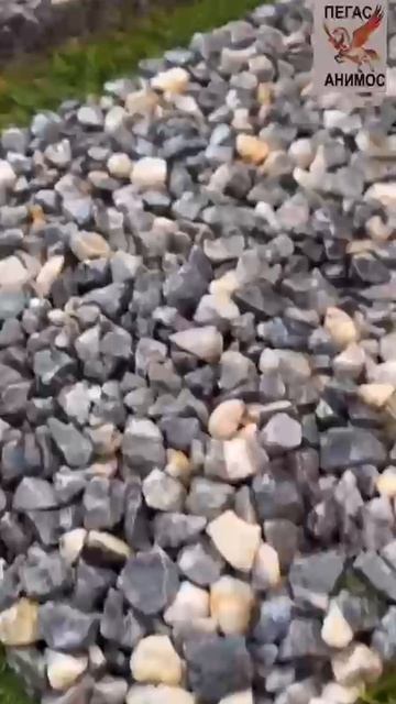 VID-20260420-WA0069.mp4