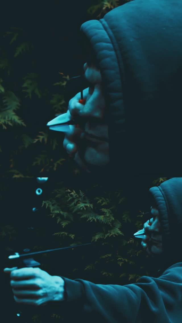 CRYSIS TRILOGY: Полная синхронизация с Шифу  Частота 407.7MHz