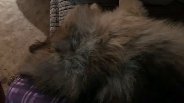 ПУСЯ КОНТРОЛЁР....