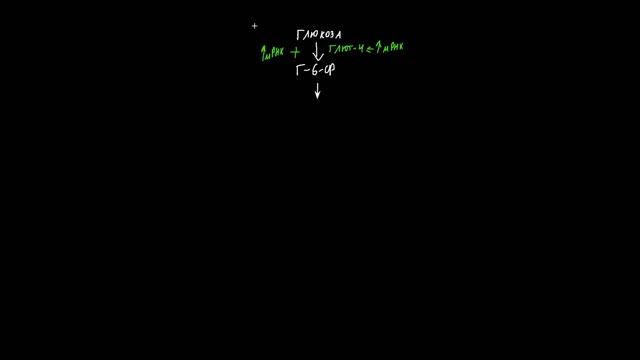 Лекции 17-18 Часть 2. Гормоны щитовидной железы