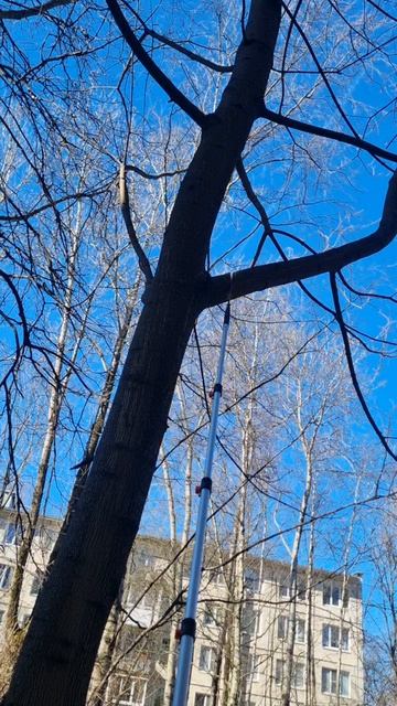 Ворона улетела, теперь можно)