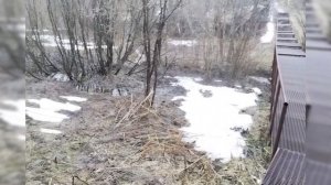 И вновь на природе🏞️ с песней 📽️"Куда бежишь ,тропинка милая?"😉🙃