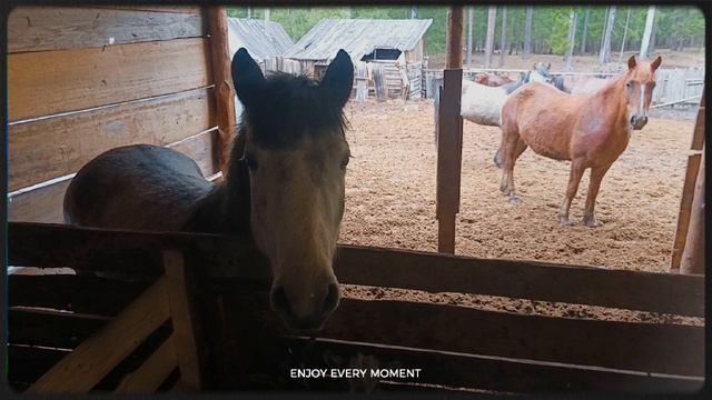 20-04-2026хозяйство