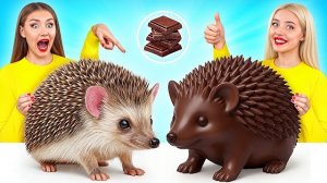 Шоколадная еда vs настоящая еда челлендж