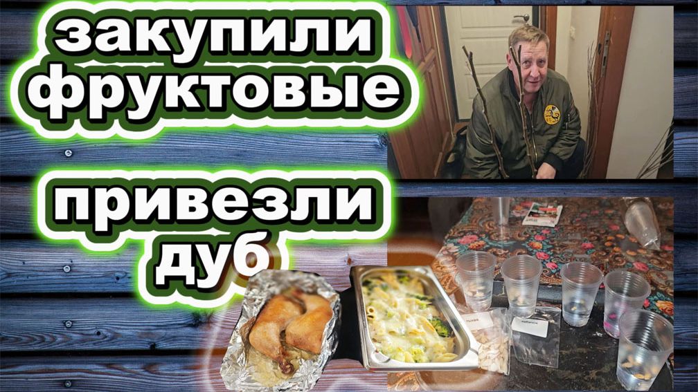 🇰🇿 КАЗАХСТАН 30-26!СУББОТНИЙ ВЛОГ/КУПИЛИ ПЛОДОВЫЕ ДЕРЕВЬЯ/ЗАПЕКАНКА/ЗАМОЧИЛА СЕМЕНА/ПРИВЕЗЛИ ДРОВА